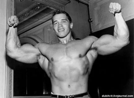 Arnold Schwarzenegger biorafiya, wikipedia, fotók