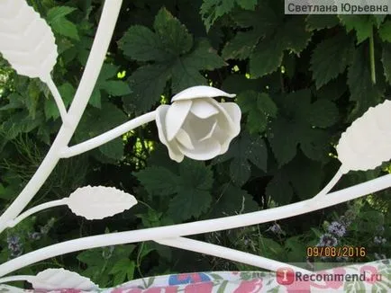 Arch grădină gardman engleză Rose Art