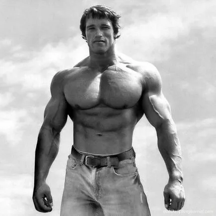 Arnold Schwarzenegger biorafiya, wikipedia, fotók