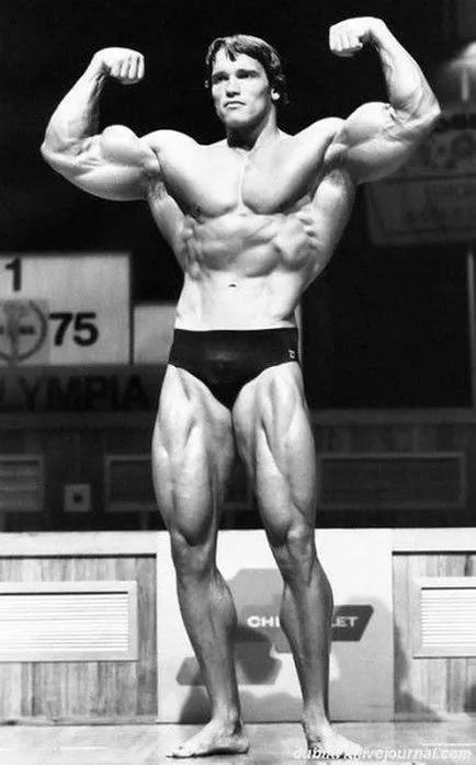 Arnold Schwarzenegger biorafiya, wikipedia, fotók