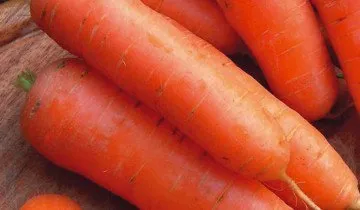 Când dezgroparea morcovi, de aceea este bine întreținută
