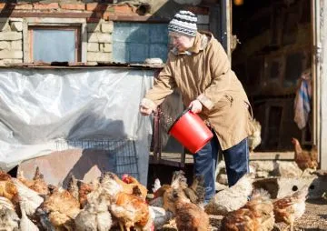 Pentru hrana puilor cu mâinile lor