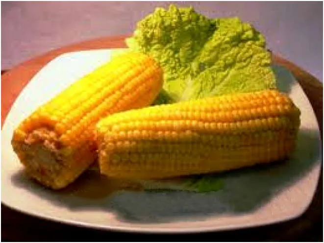Corn multivarka