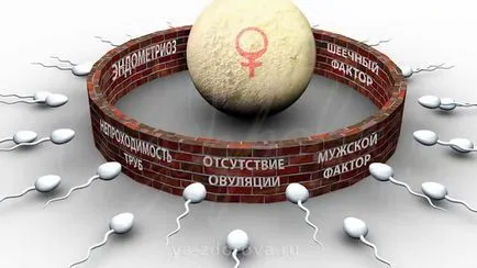 Tratamentul prostatitei in clinica, „Sunt sănătos! „Costul tratamentului de prostatita la Moscova