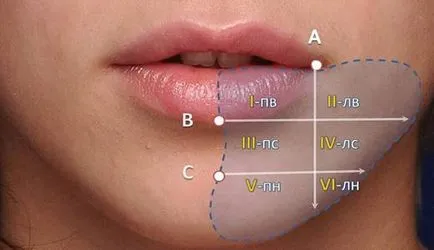 La tratamentul leziunii nervului alveolar inferior în implantologie dentară - modernă