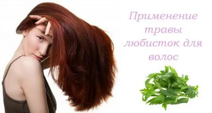 Lestyán haj előnyeit, alkalmazási és vélemények