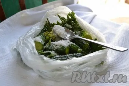 Sós uborka egy műanyag zacskóba - a recept egy fotó