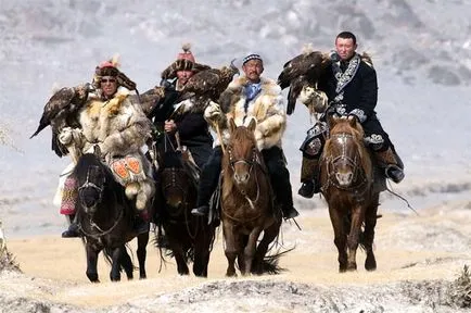 Mongol ló tenyésztése annak leírása és képek