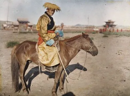 rasa cal mongol caracteristici și descriere foto și video, istorie