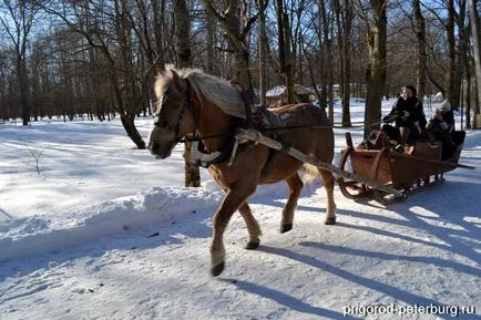 Muzeul de arhitectura din lemn „Vitoslavlice“ suburbie a orașului Sankt-Petersburg