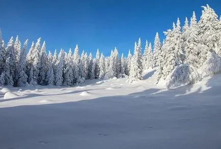 Nemzeti Park 