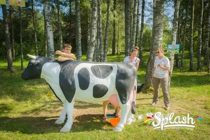 vacă de numerar atracție - leasing atracții în București