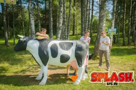 vacă de numerar atracție - leasing atracții în București