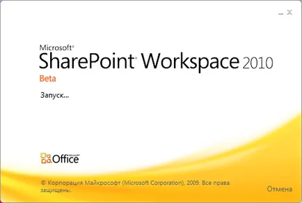 Prezentare generală Microsoft Office 2010 beta (build)