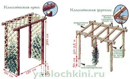 Támogatás kúszó rózsa - egy könnyű dolog