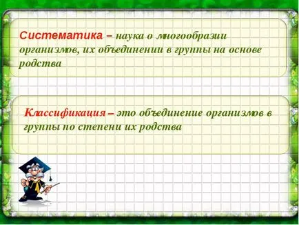 Răspundeți la întrebările pe care o astfel de taxonomie