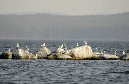 Lacul Itkul și portal de divertisment Satana rock-