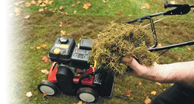 Sövényvágók Turf - tőlünk vásároljon