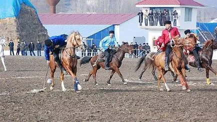 Breed Karabah - lóháton, lovászok,