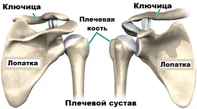 Slap kárt a labrum a vállízület