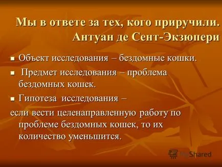 Prezentarea pe problema pisicilor fără stăpân în autori ai României Rysaev Danilov, Khoroshilova Anastasia