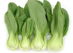 bok choy