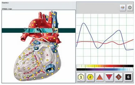 Biorezonanta (diagnosticare de calculator) înșelăciune sub masca de medicina