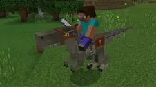 albastru Raptor (velociraptor albastru)> addons> mcpe - totul pentru a descărca ediția de buzunar Minecraft