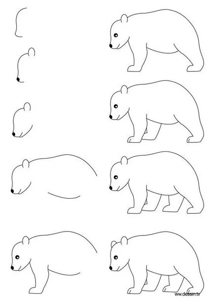 молив чертежи на животни за начинаещи стъпка по стъпка