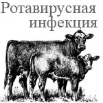 activități de bovine Rotavirus simptome, diagnostic, imunitate, de prevenire și de eradicare,