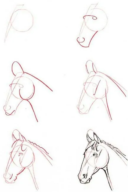 desene in creion de animale pentru incepatori pas cu pas