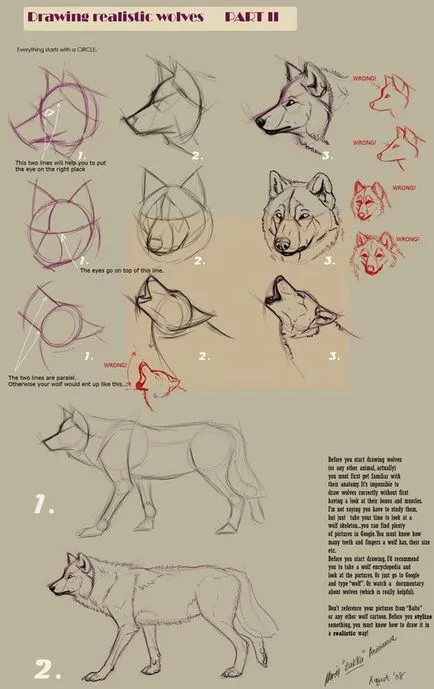 молив чертежи на животни за начинаещи стъпка по стъпка