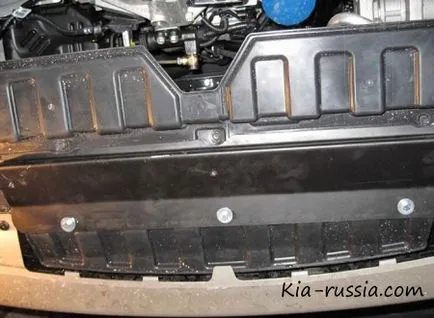 Auto motor de protecție setare Kia Rio - totul despre masini kia, kia