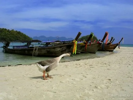 Független utazás a tartomány Krabi, Thaiföld