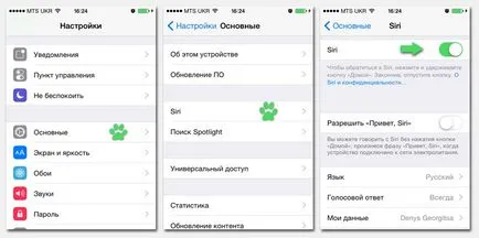 Siri Orosz (ios 8) - engedélyezését és használatát
