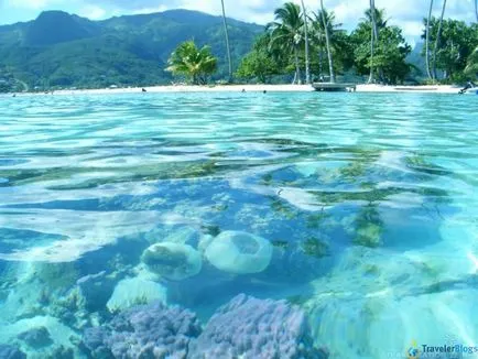 Cât de mult este o vacanță în Tahiti