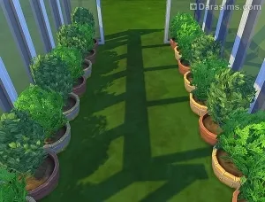 Изграждане на декоративни оранжерии в Sims 4