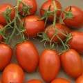 Tomato Red Arrow (характеристика и описание на разнообразието от домати, мнения)