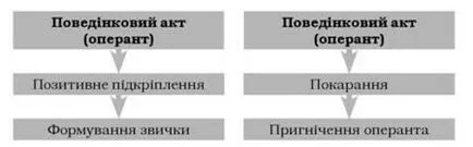 Социална теория за обучение, когнитивен подход към психическото развитие - Психология на развитието