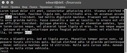 terminale linux