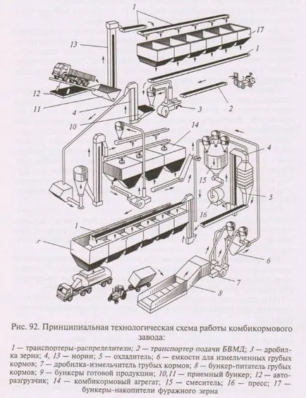 Technológia állati takarmány