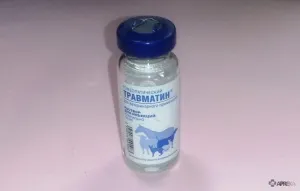 Travmatin (injecție) pentru câini și pisici, comentarii aplicarea de medicamente pentru animale