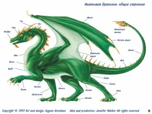 Трактат по обща drakonologii