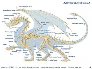 Трактат по обща drakonologii