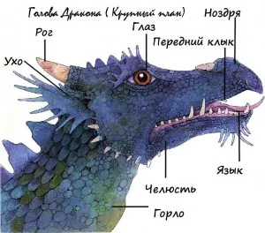 Трактат по обща drakonologii