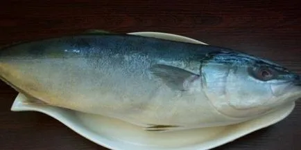 Tuna (filé, steak hal) receptek fotókkal