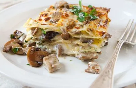 Változatok kiváló olasz receptek csirke lasagna