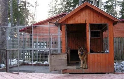 Aviary pentru câini de la cabana lor de vară