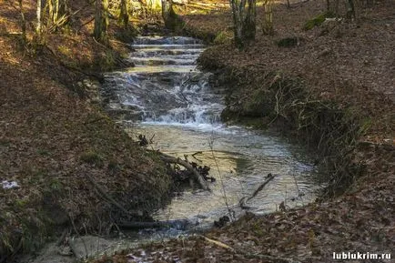 cascada baldachin