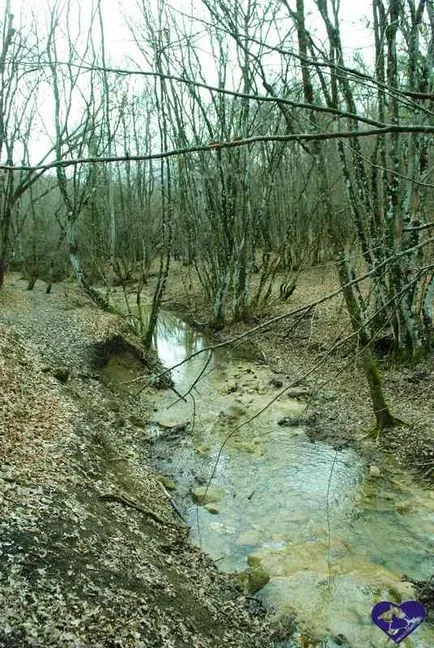 cascada baldachin